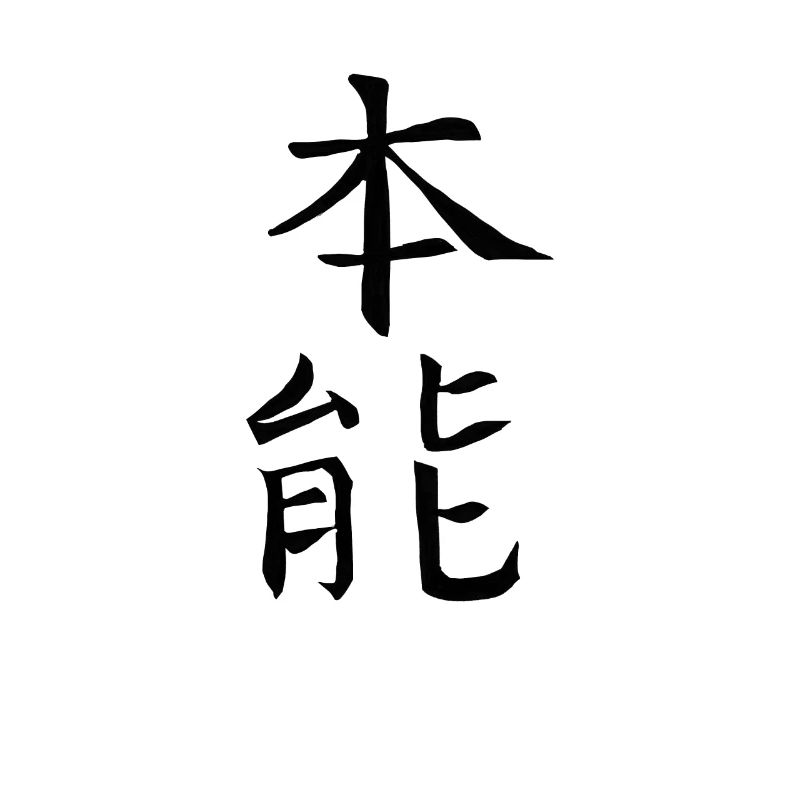 Japan Kanji Kaliphraphie Japan Symbol Instinct