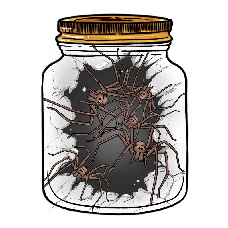 Halloween Spiders Arachnids Spider Phobia