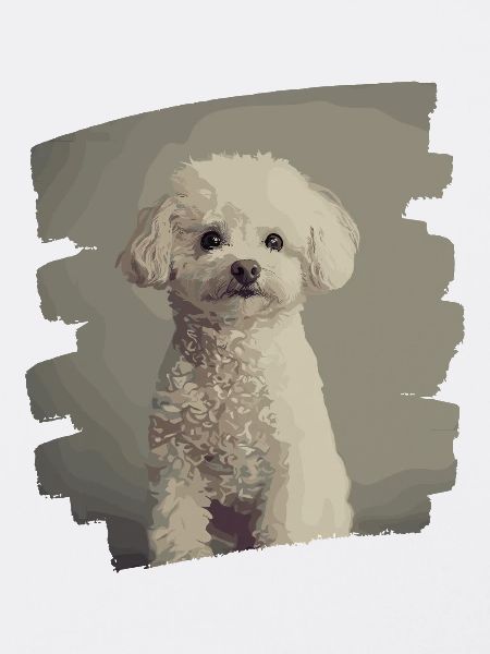 Caniche