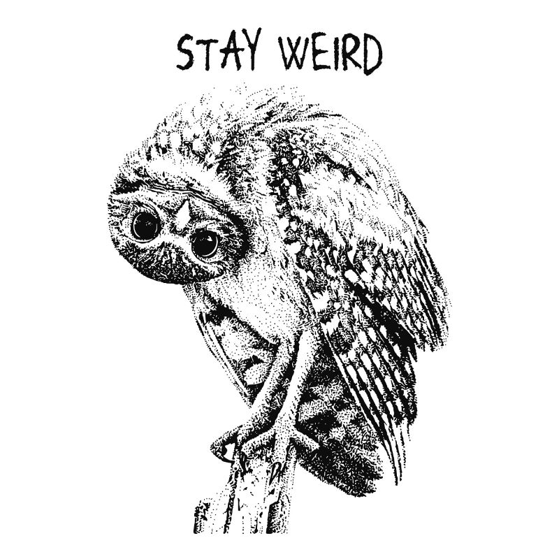 Stay Weird Eule