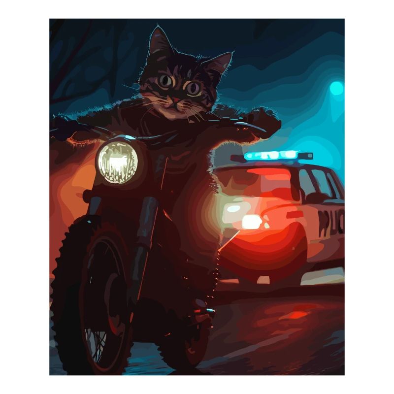 Night Cat on Motorcycle Noir