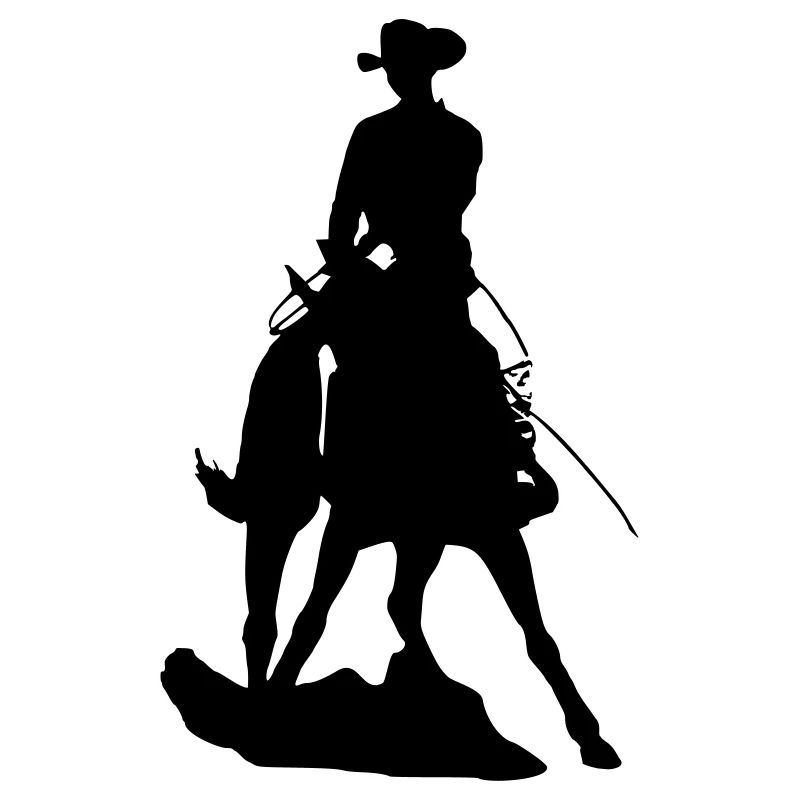 Westernpferd im Spin