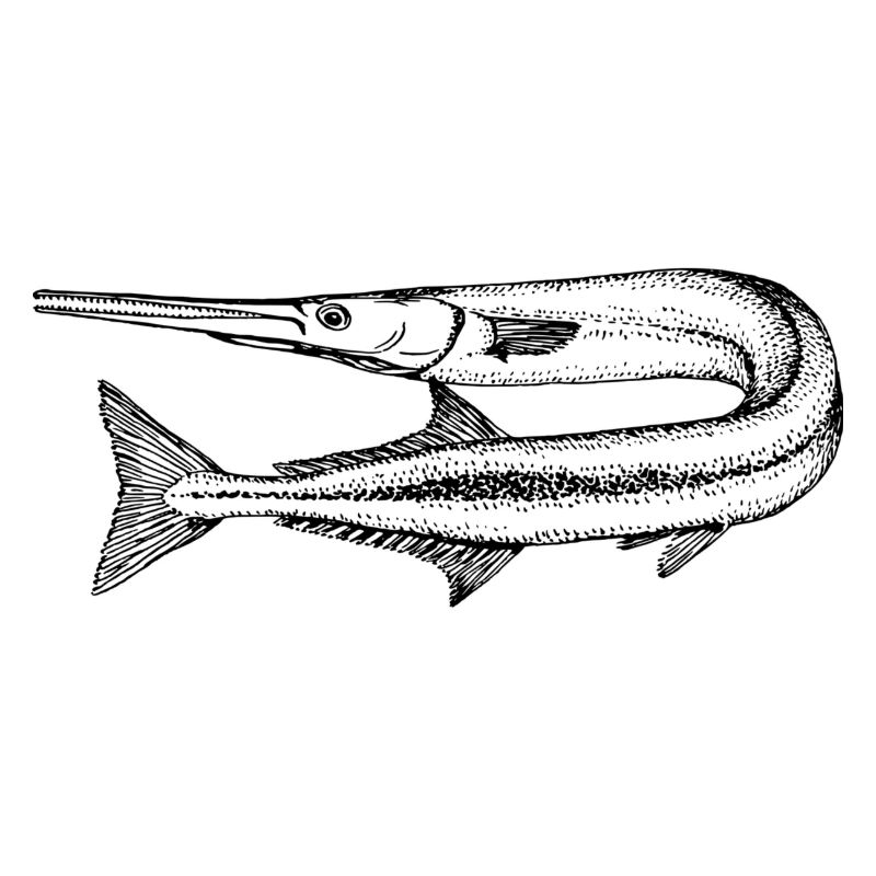 Fisch