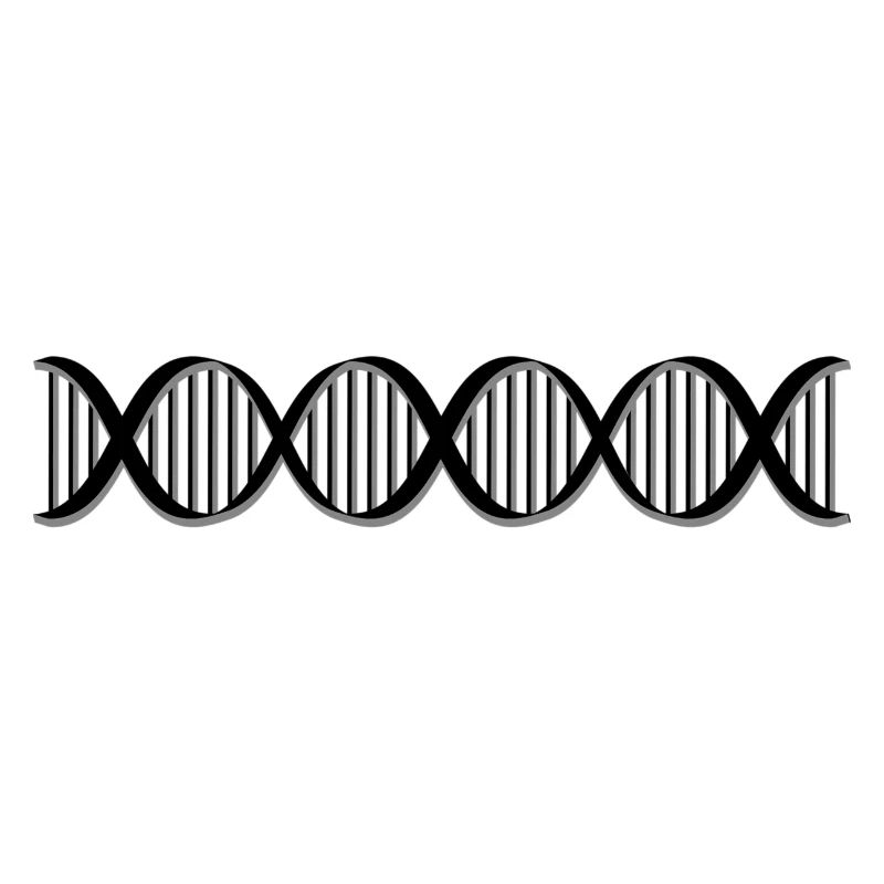 DNA
