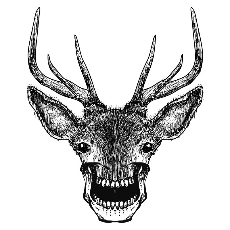Deer Skull