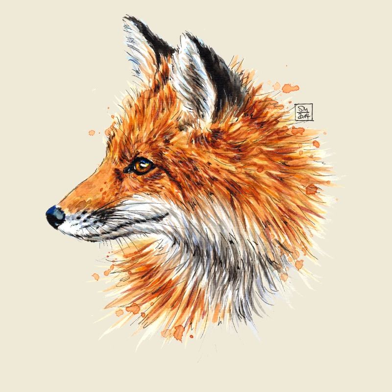 Fuchs | fox
