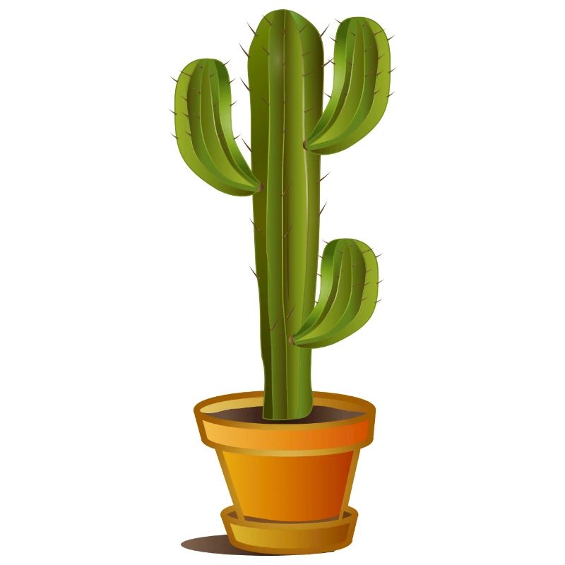 Grand cactus vert dans un pot de fleurs