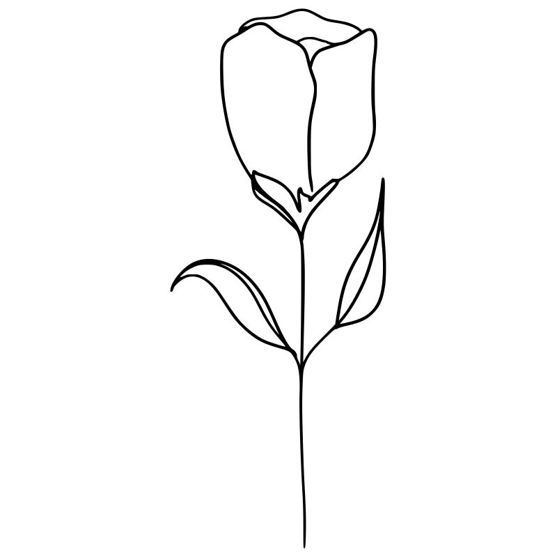 Tulpe gezeichnet