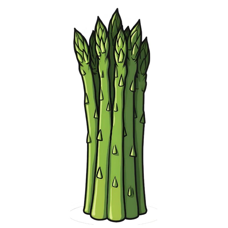 Asparagus