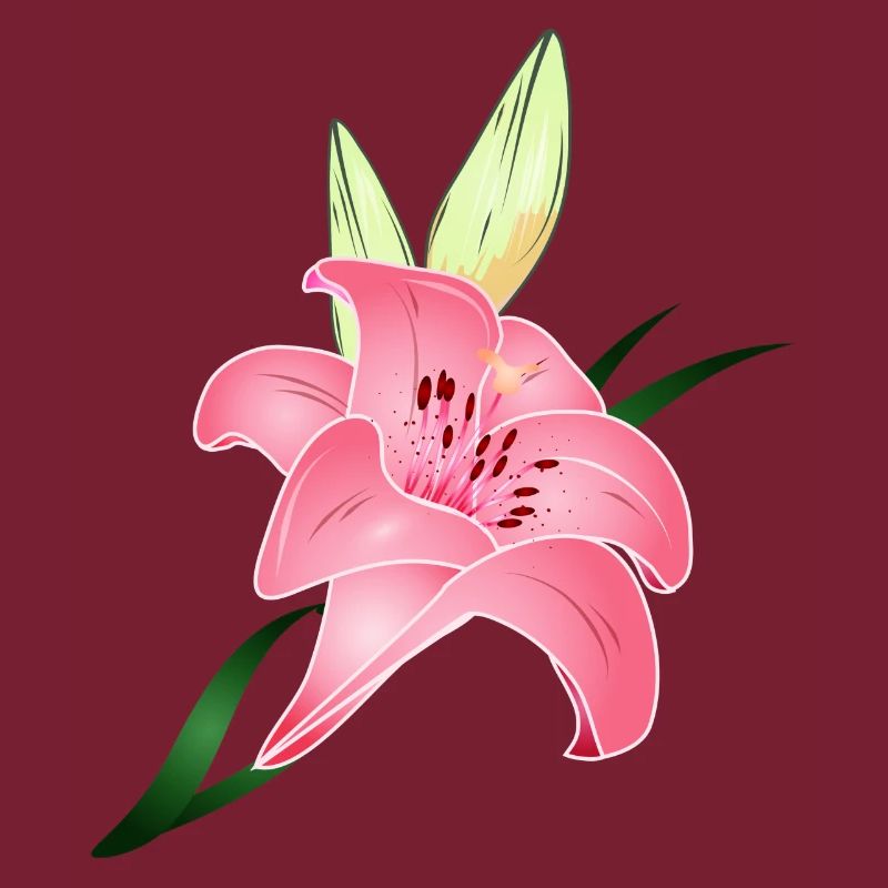 fleur de lys rose avec deux bourgeons