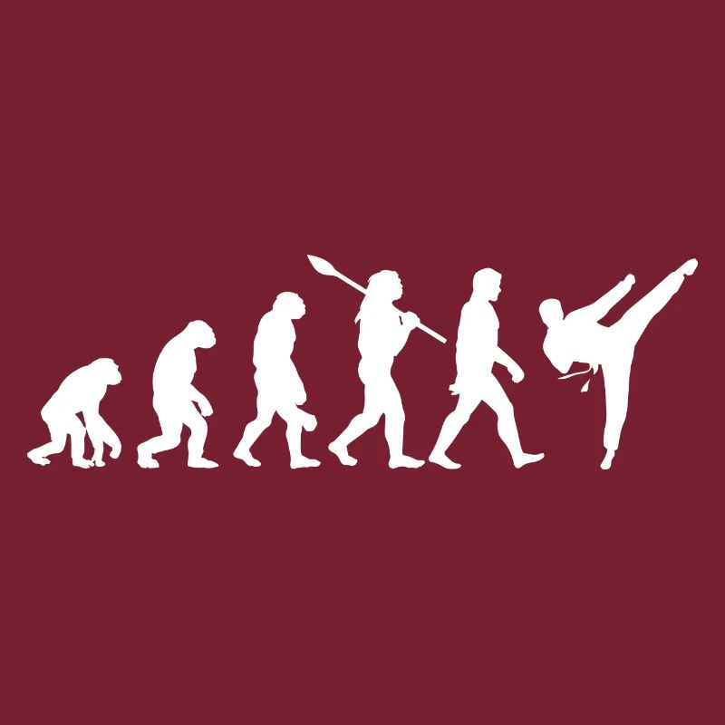 Évolution, Combat, Judo, Karate, MMA, Taekwondo