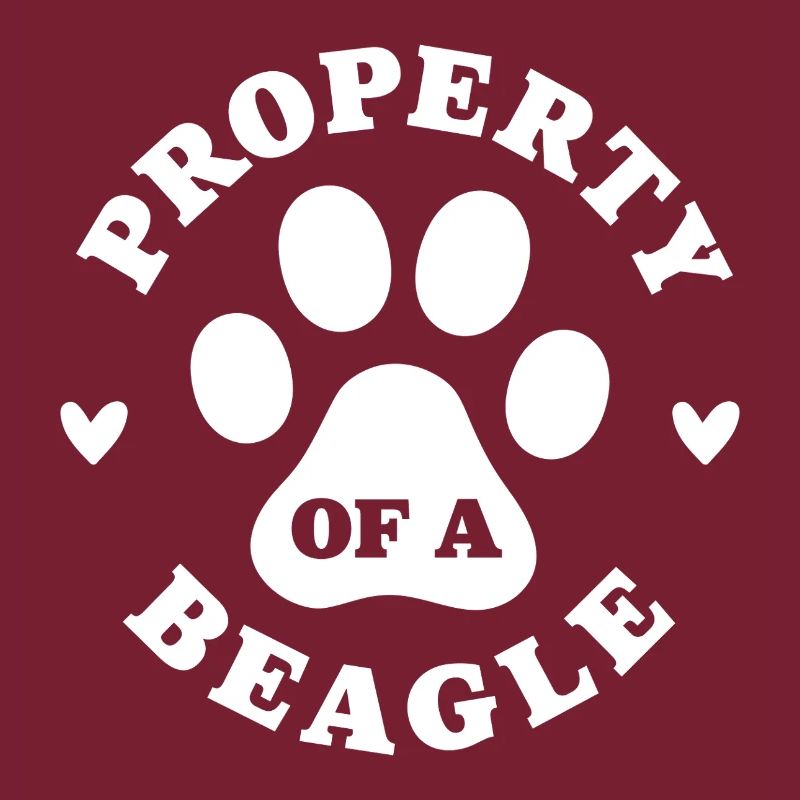 Eigentum eines Beagle