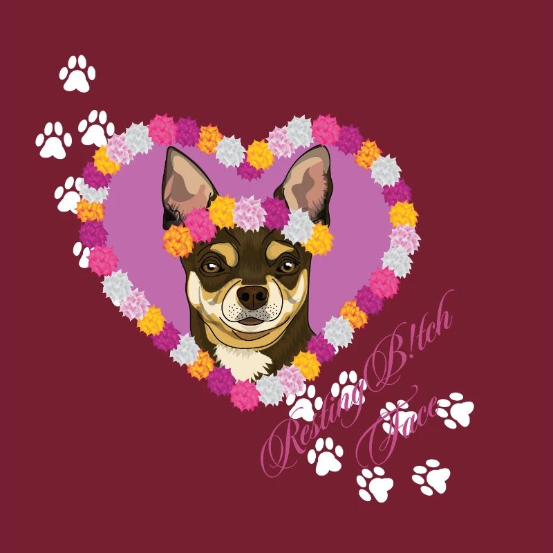 Ruhender Chihuahua mit dem Gesicht