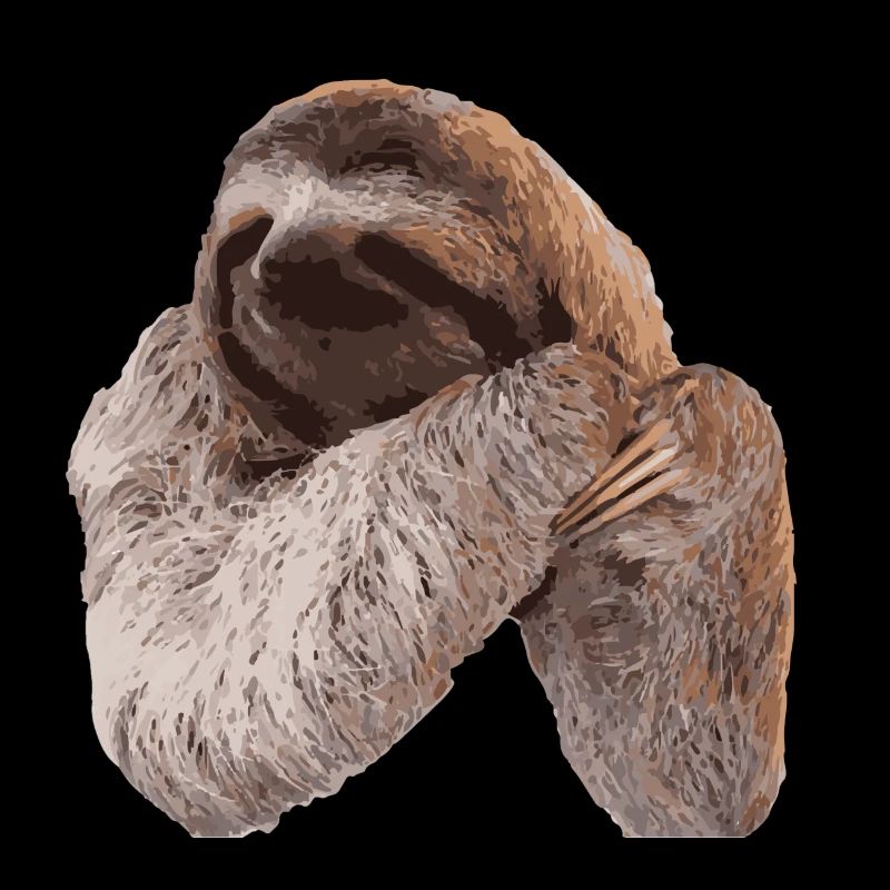 Faultier / Sloth