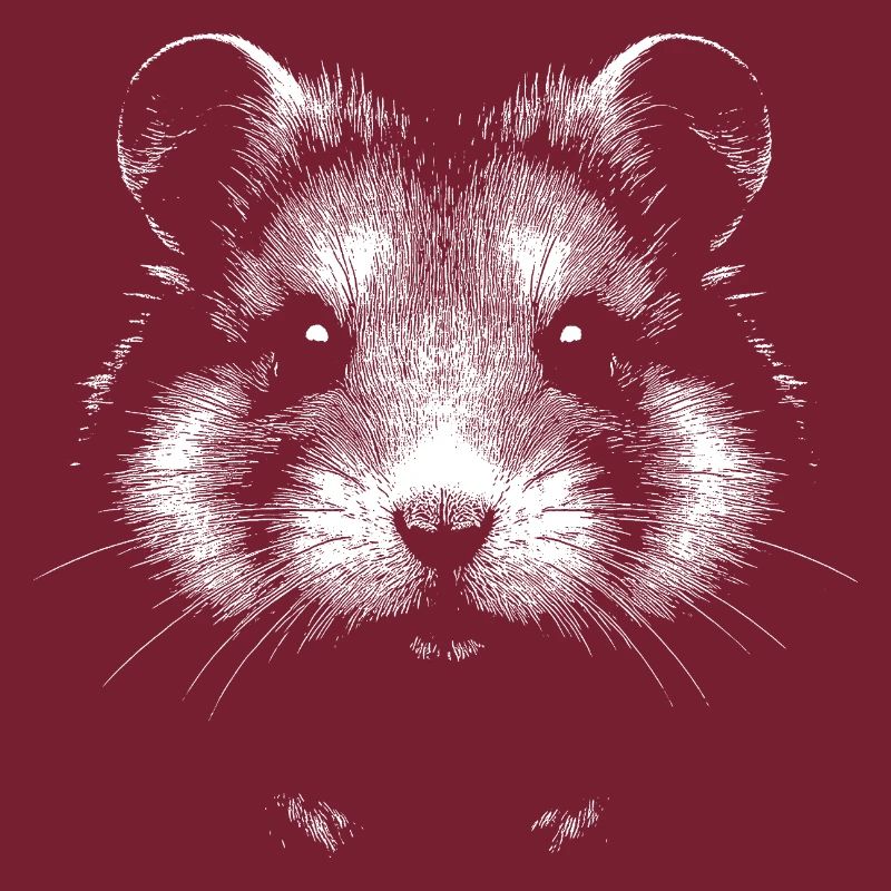 Hamster commun