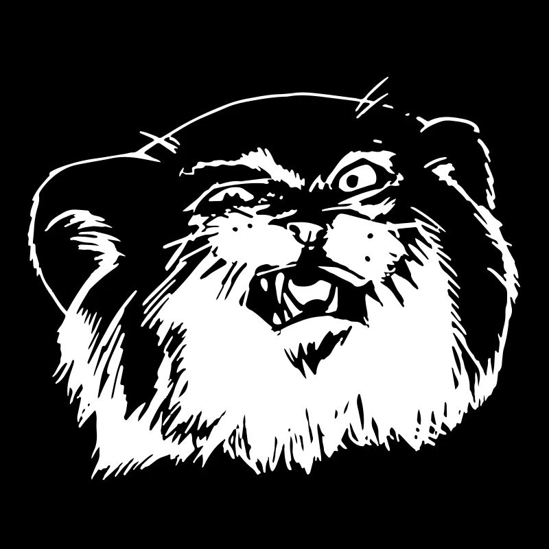 Pallaskatze Manul Gesicht
