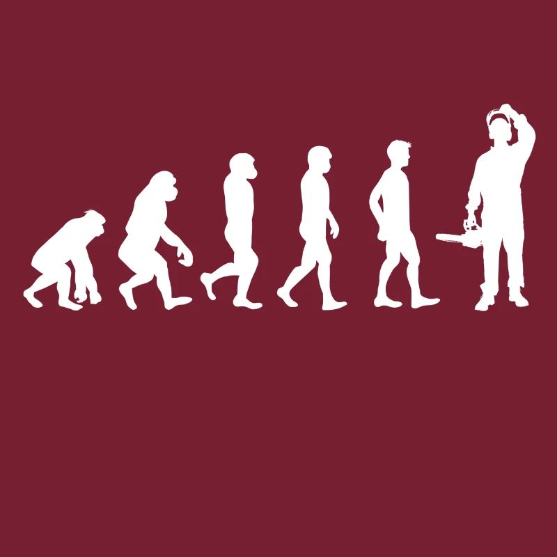 Evolution du bois / BOIS /