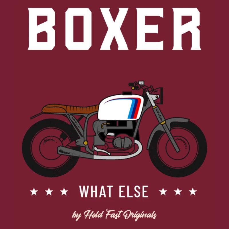 Boxer what else