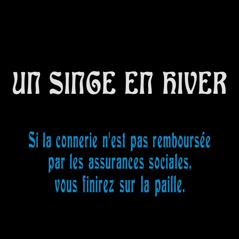 un singe en hiver