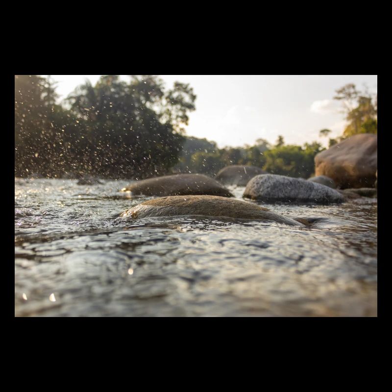 WASSER