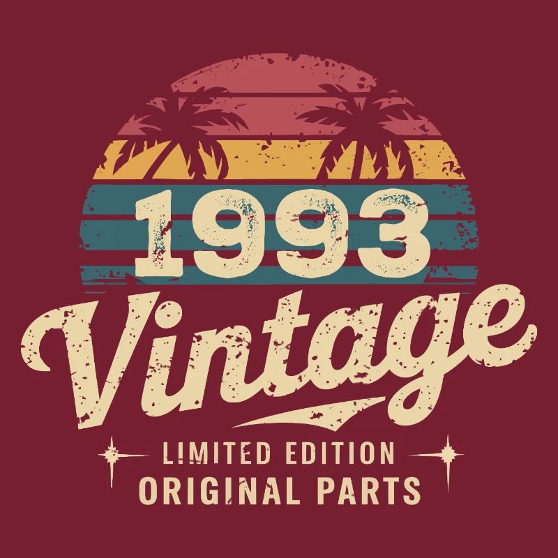 Großartig seit 1993 Geburtstagsgeschenk 1993