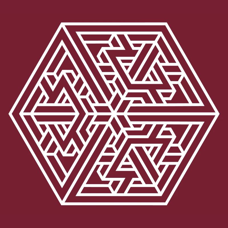 Impossible Maze – Optical Illusion & Escher