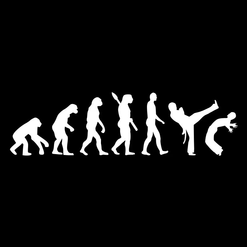 Évolution Capoeira