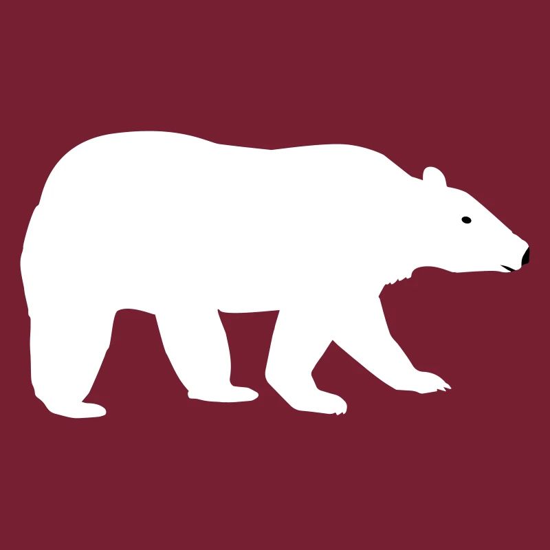 Eisbär