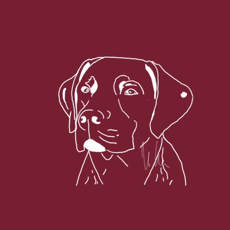Labrador