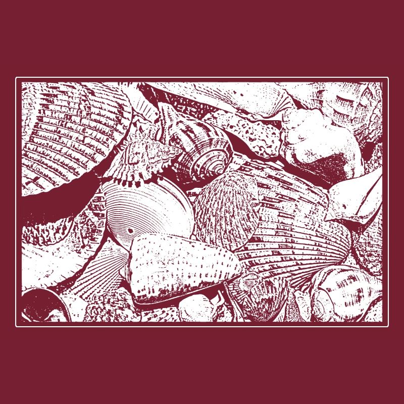 Muscheln