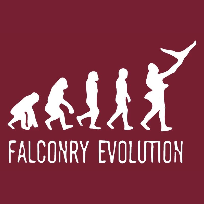 Evolution of Falconry