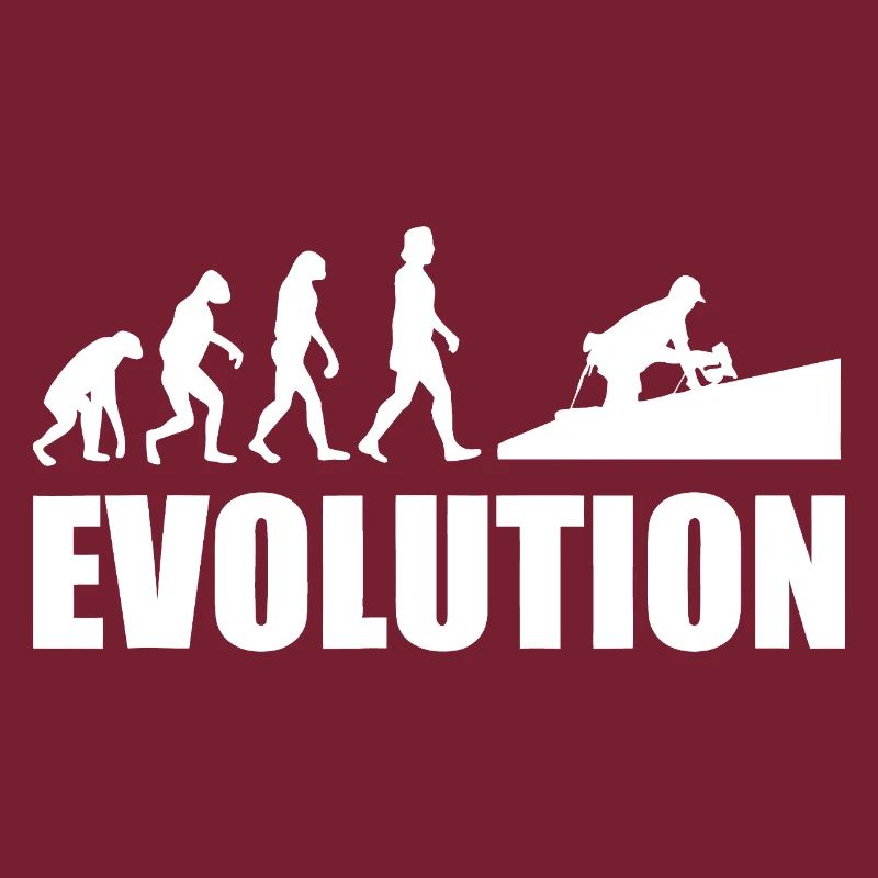 Evolution to Innovation