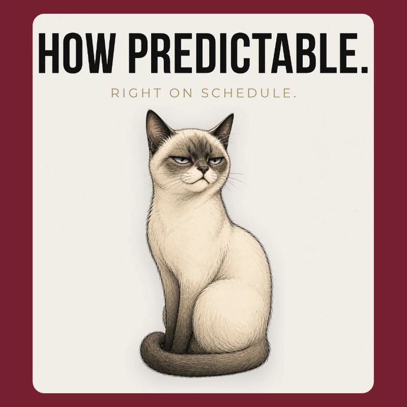 HOW PREDICTABLE. Noble Cat Sarcastic Meme Design