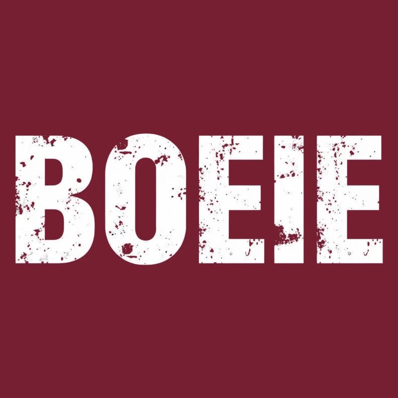 Hou. Chemises en dialecte anversois
