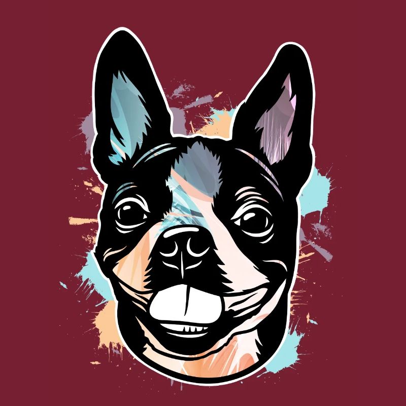 Boston Terrier