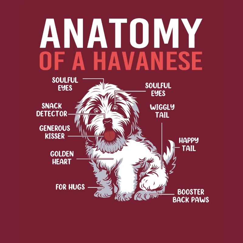 Havanese