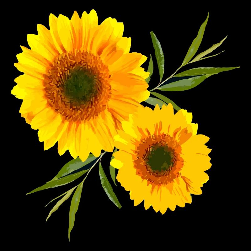 sonnenblume