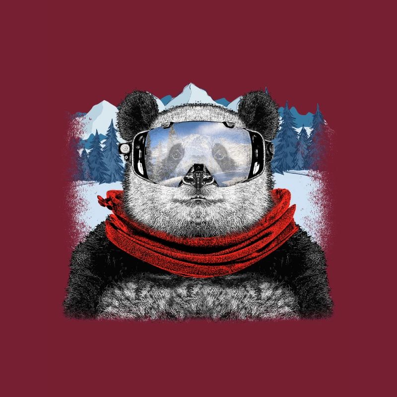 panda de ski
