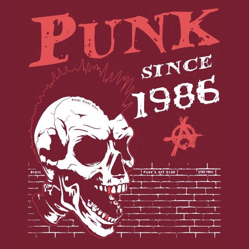 38 ans et toujours punk, Punks pas morts, Punk
