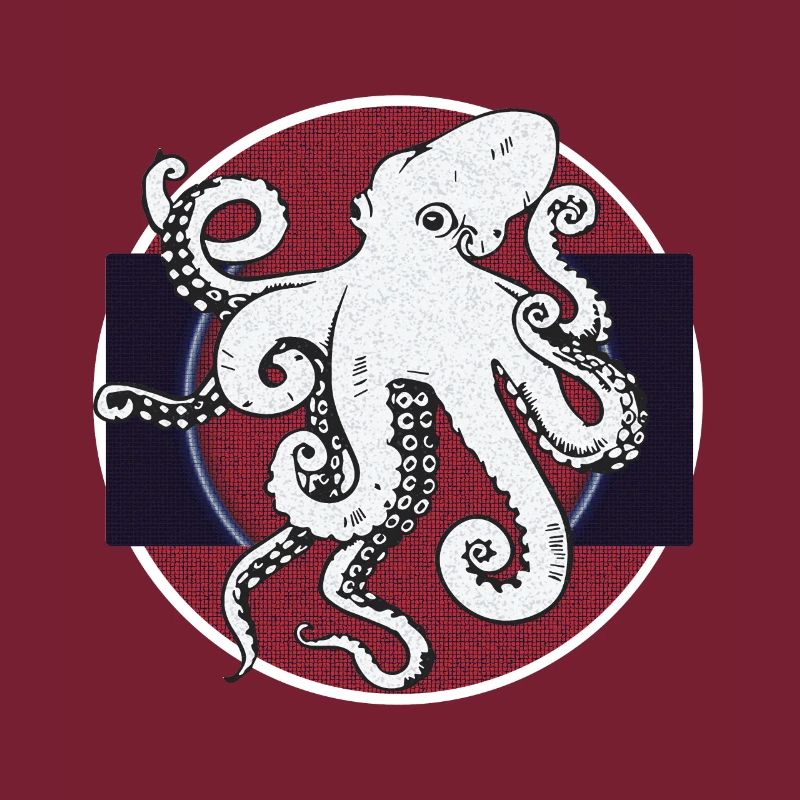 Friendly Octopus