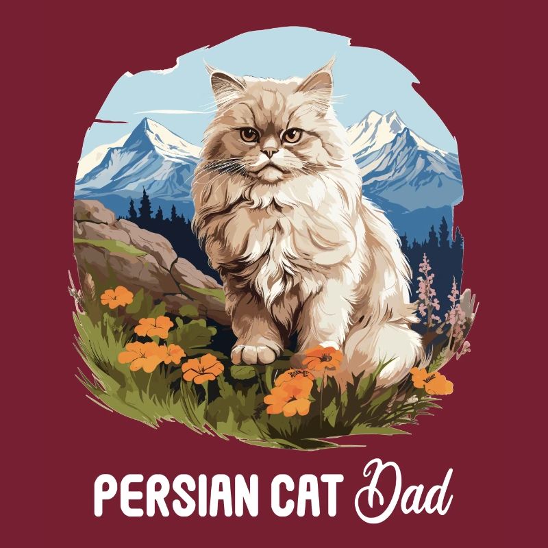 Chat persan Perser Katze