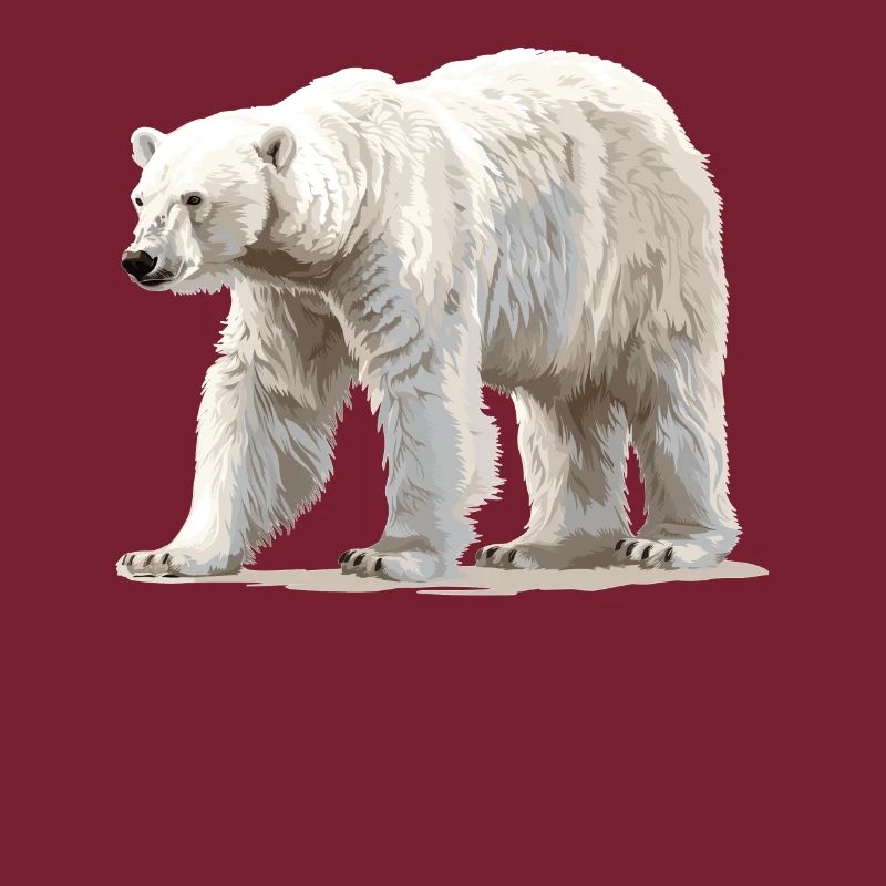 Polar Bear Eisbären Eisbär