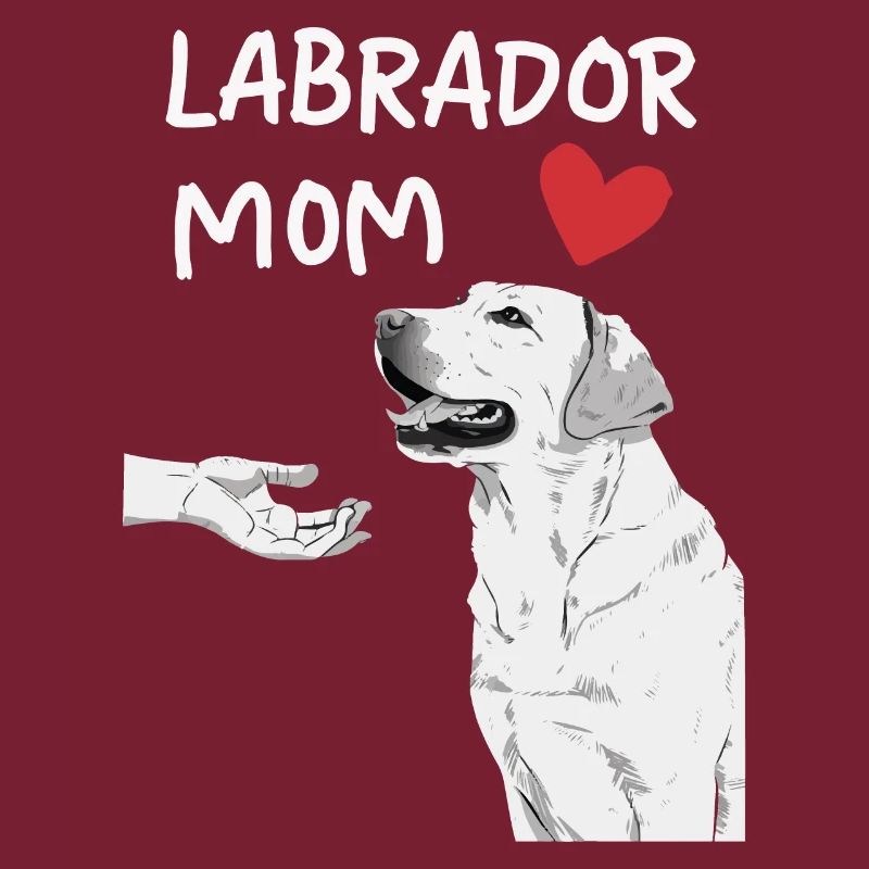 Labrador Dog