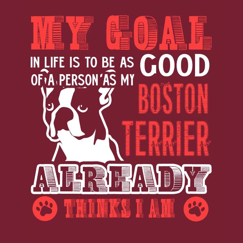Try To Be A Good Boston Terrier