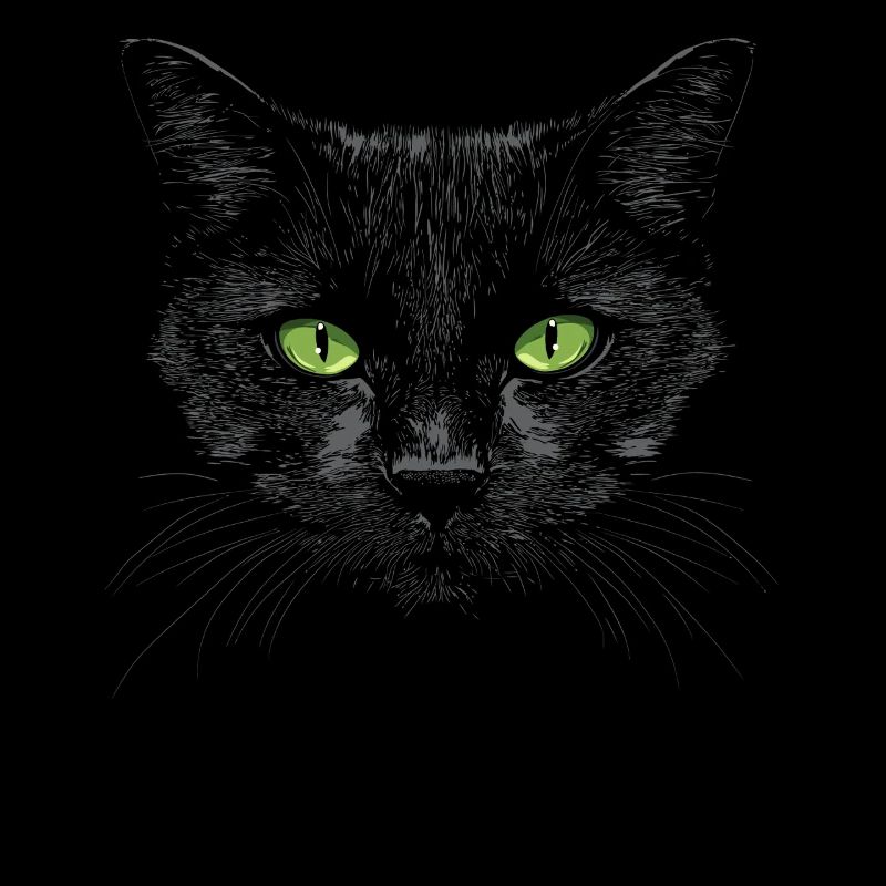 Black Cat Green Eyes