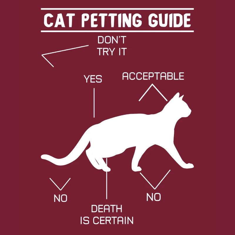 Guide de caresses pour chat