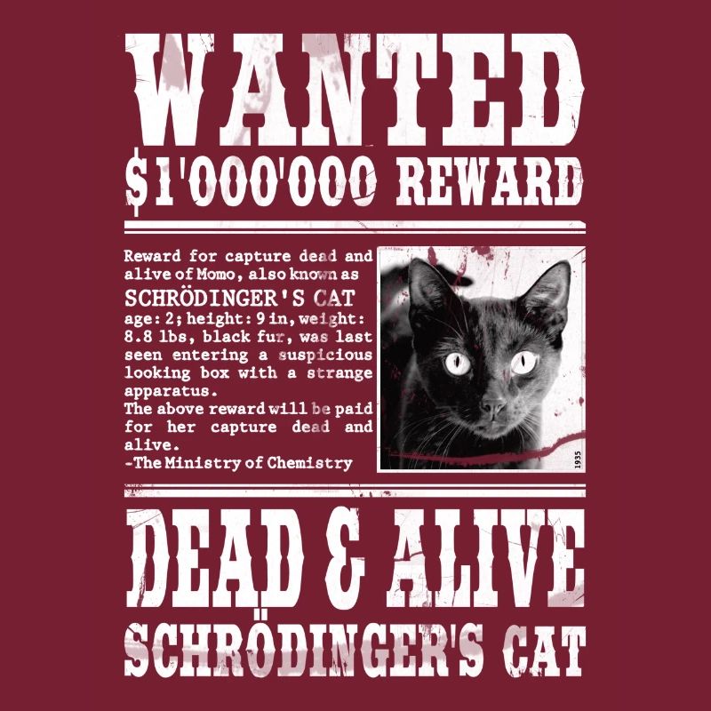 le chat de schrödinger blanc