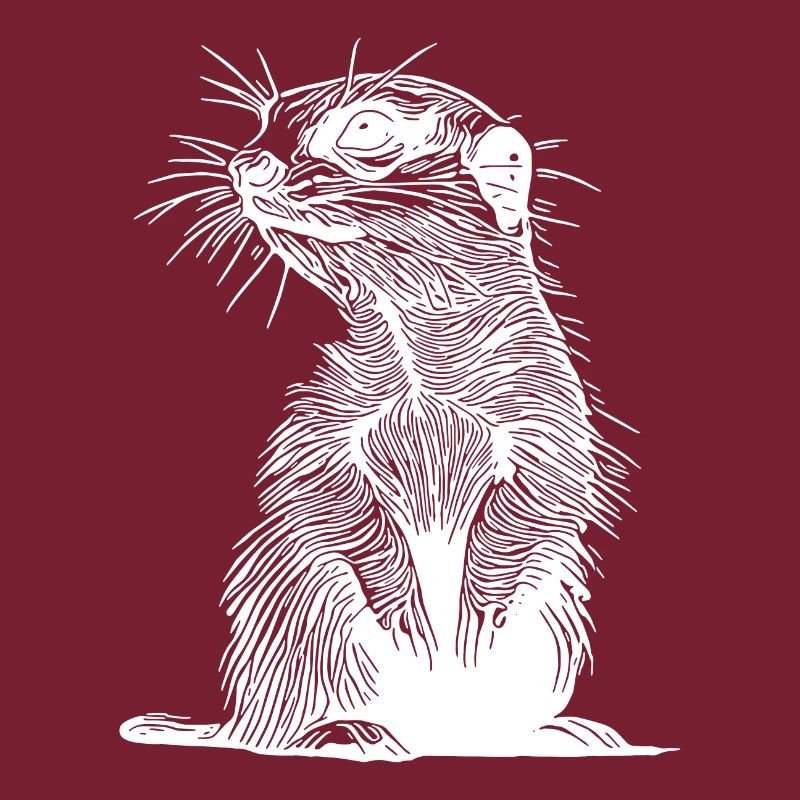 Putziges Erdmännchen mit Fell und Querstreife