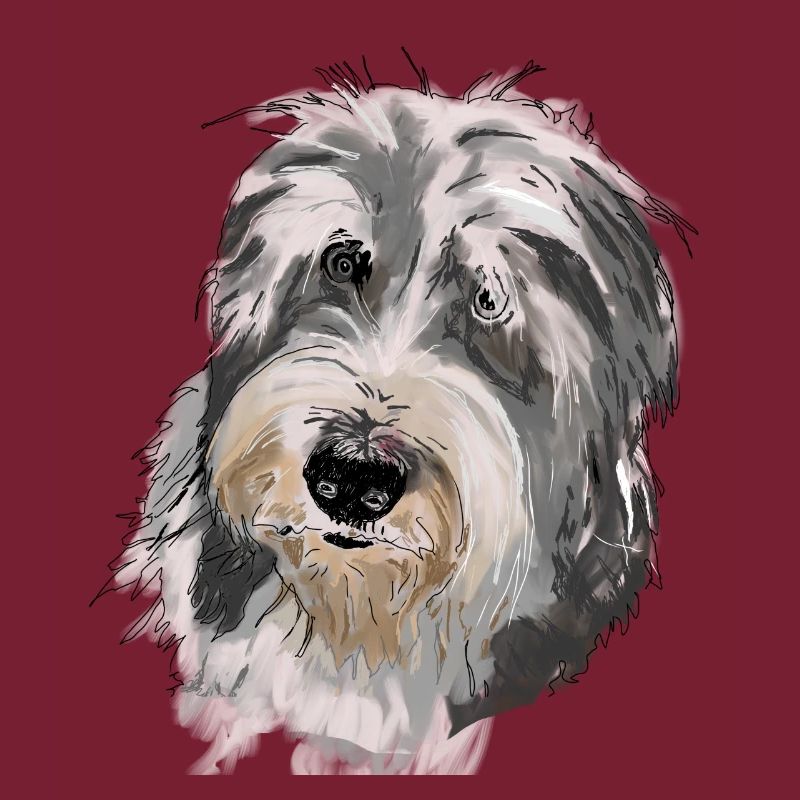 Collie barbu