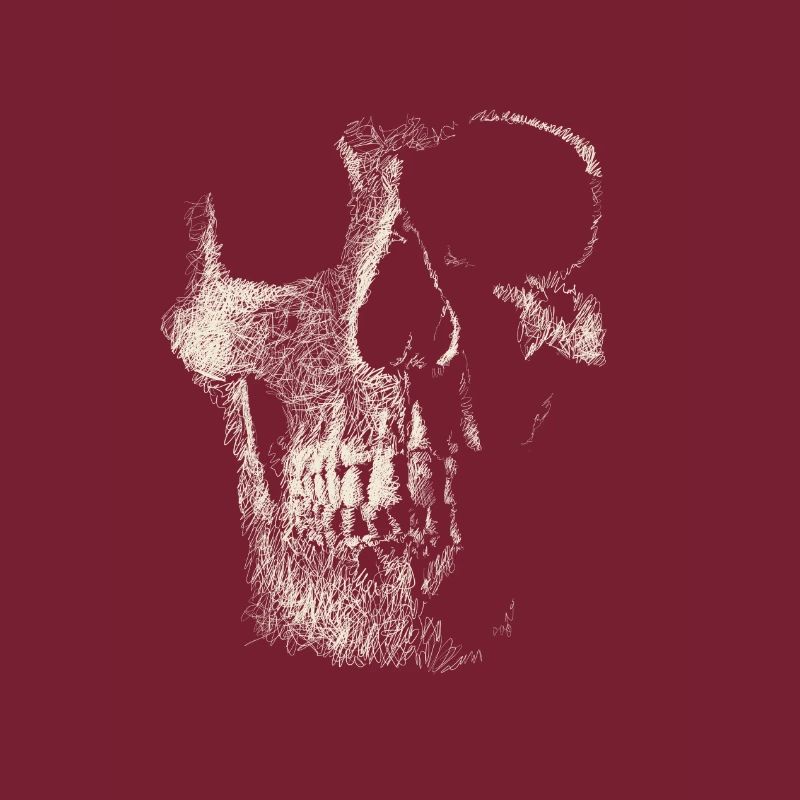 Schädel
